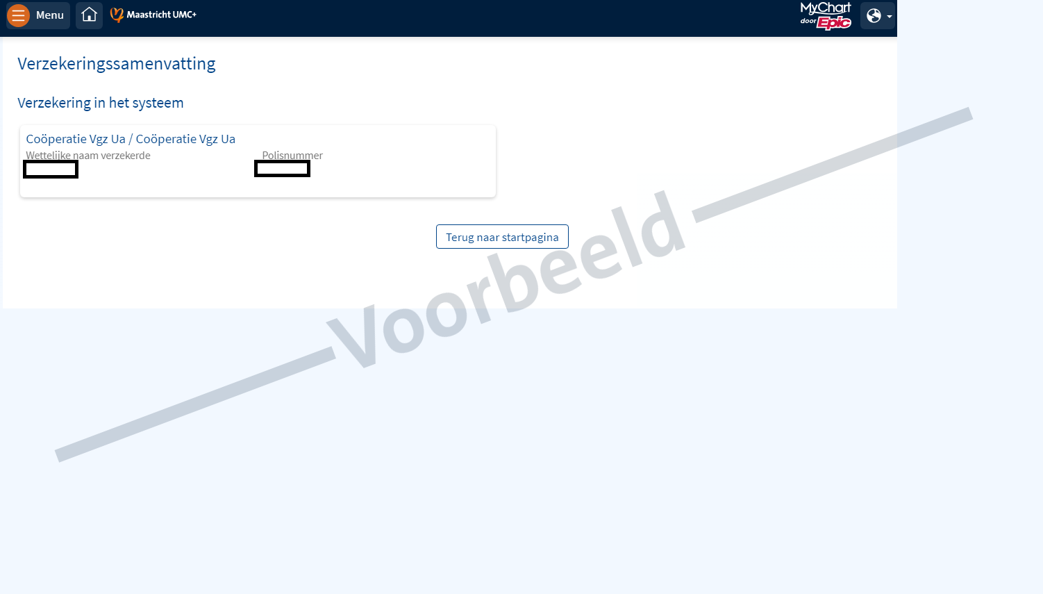 Verzekeringssamenvatting