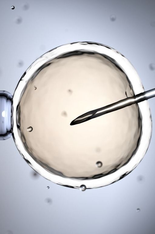 ivf