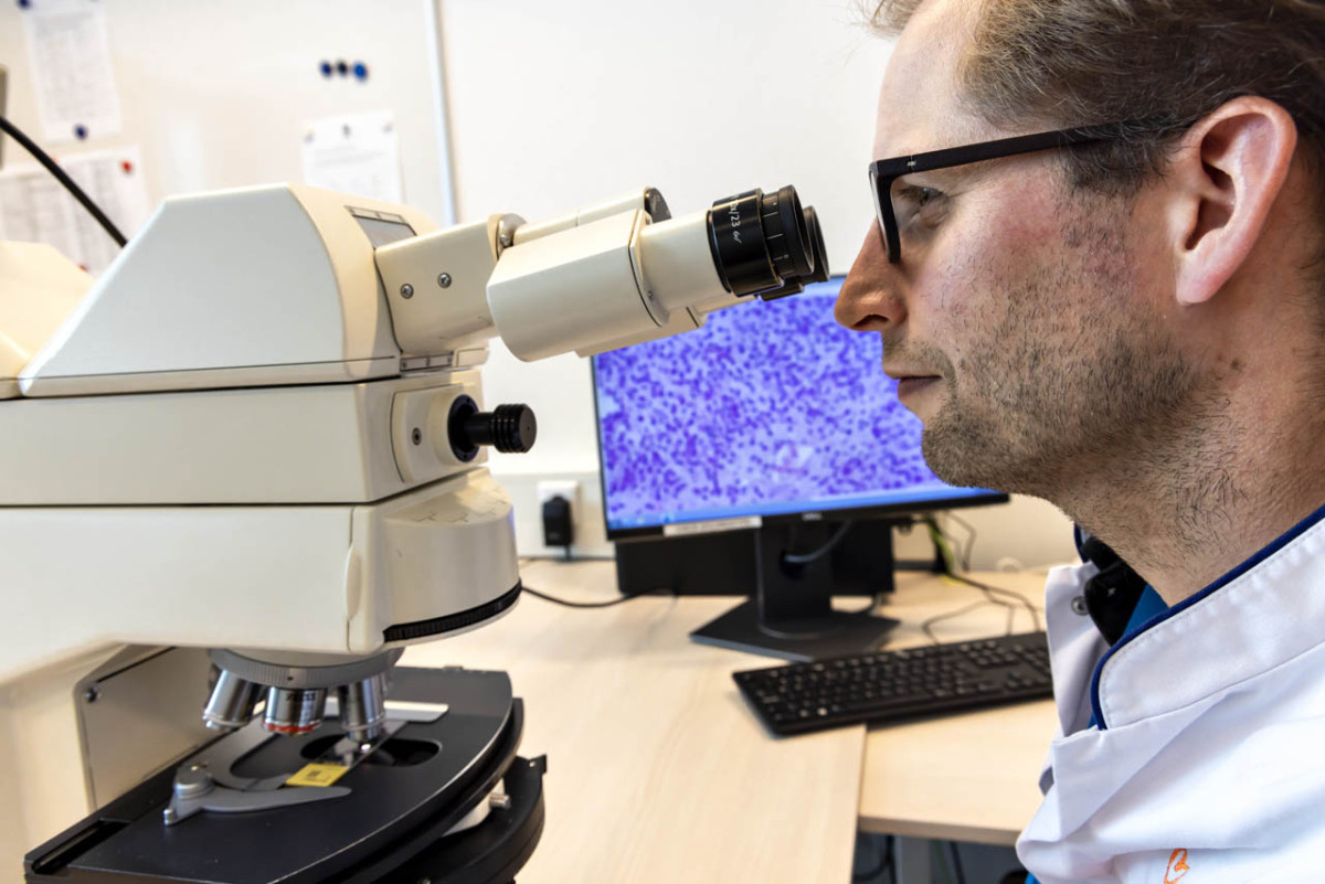Sietse Aukema bij microscoop