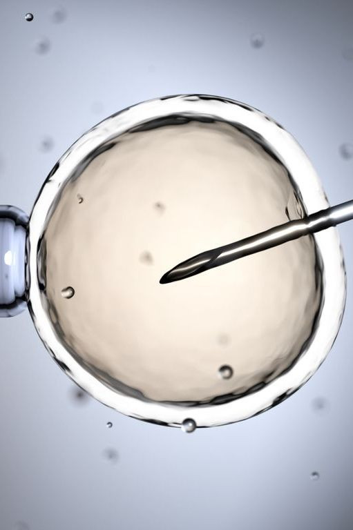 ivf